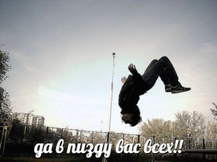 ghostpill DIVE | EN7 🧡🍊 tweet media