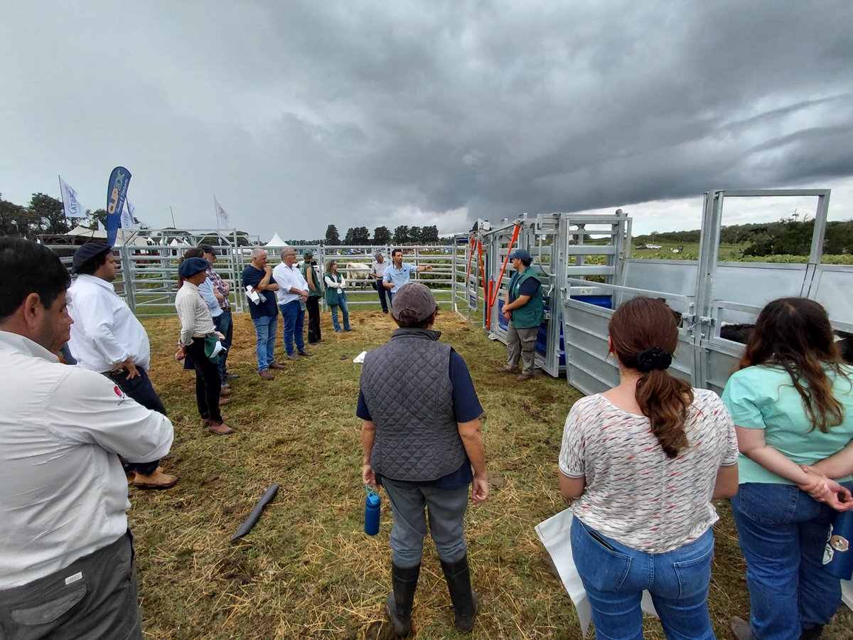 Plan Agropecuario tweet media