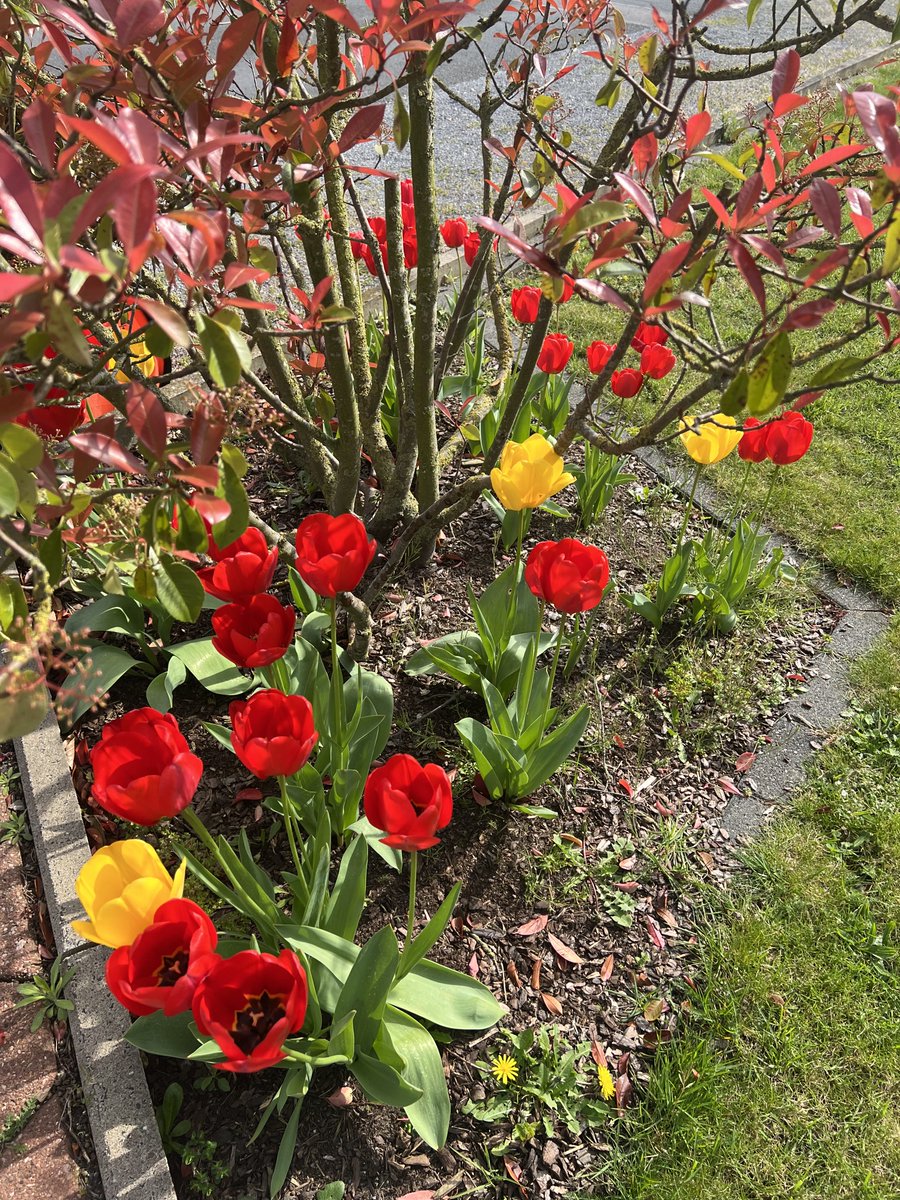 Aşığız biz bu renklere !