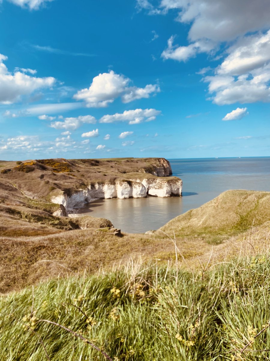 Andy Pearson tweet media