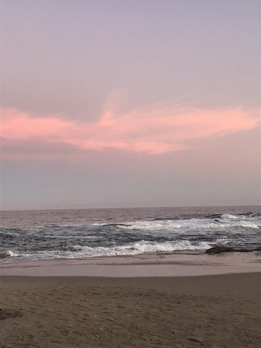 wizard girl tweet media