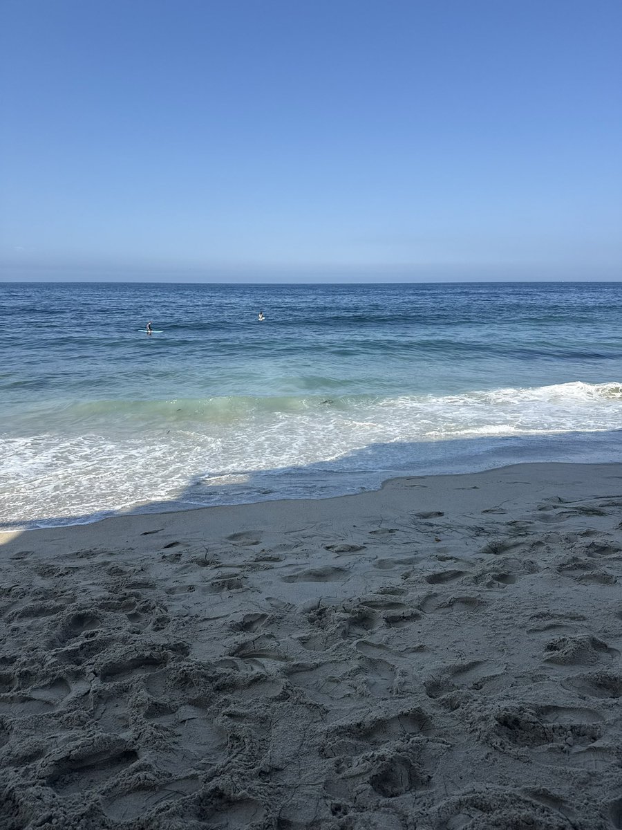 wizard girl tweet media