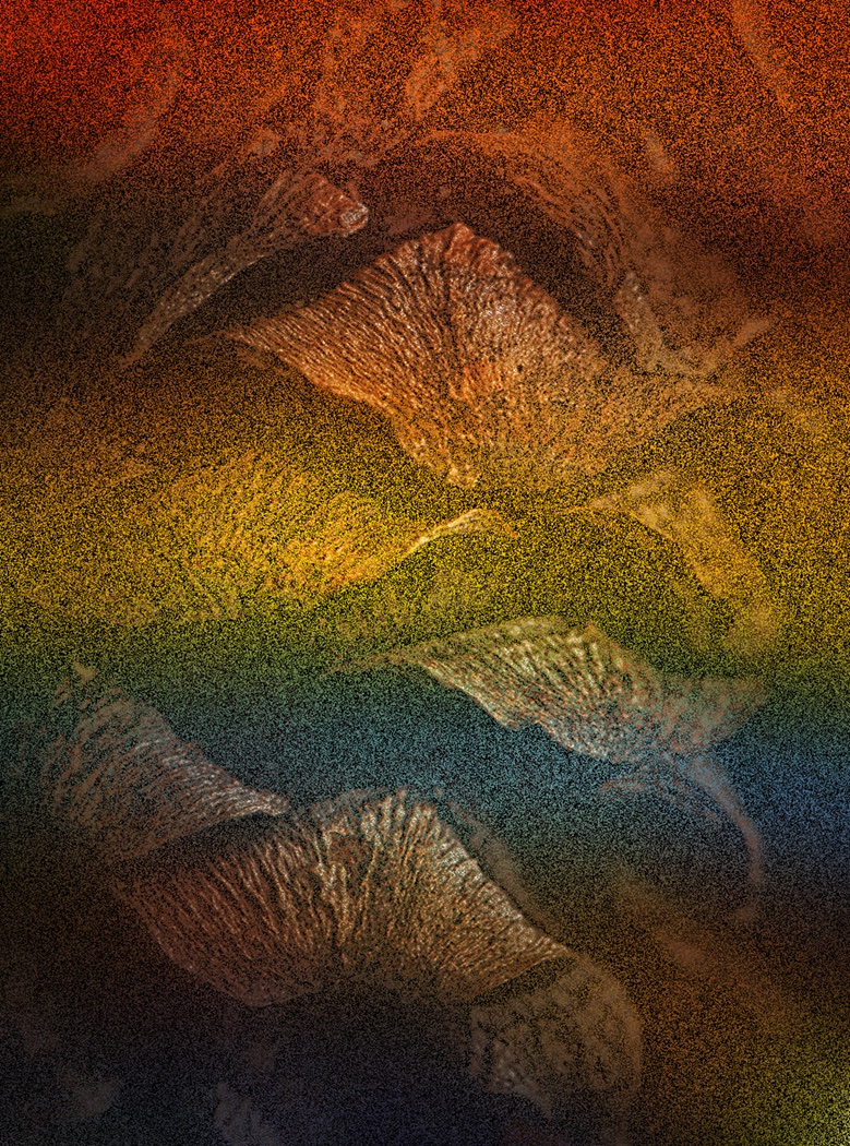 Sam_Alexandra23's tweet image. Good day Gang!  Time to explore your #Creative side of #Photography and share your own visual voice of the world around us. My top 2 images were created with two photos combined &amp;amp; the bottom 2 are in-camera #MultipleExposure shots. Enjoy your day &amp;amp; be safe! 📸😊