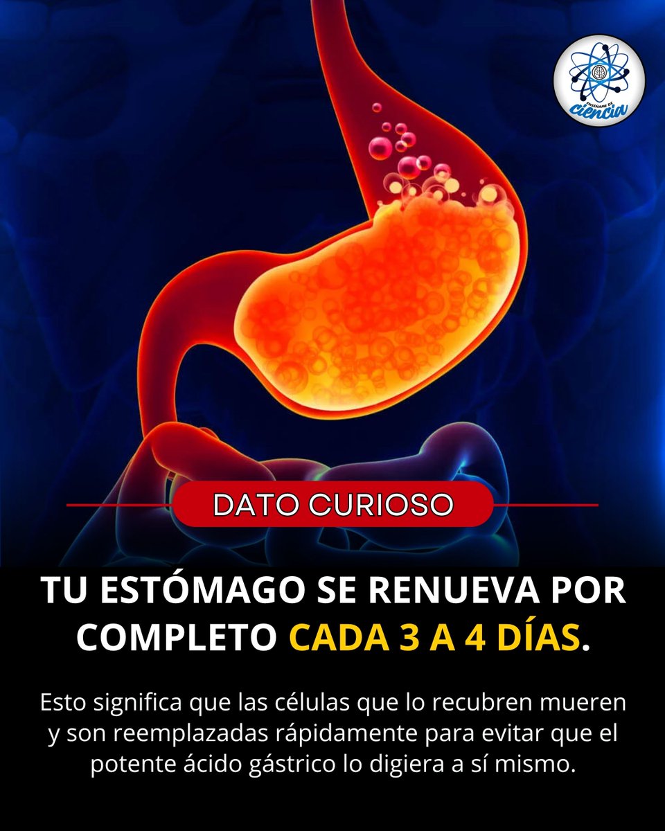 Enséñame de Ciencia tweet media