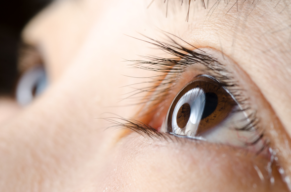 AcademyEyeSmart's tweet image. Don’t consult Dr. ChatGPT. Researchers found the chatbot only answers common eye health qs accurately 15% of the time. Subscribe to EyeSmart instead for physician-approved articles delivered monthly to your inbox: ow.ly/QHoy50YGIiB 

#newsletter #signup #eyehealth