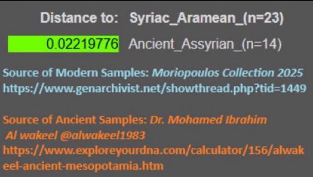 eivør 𖢗 🇮🇶 𖢗 tweet media