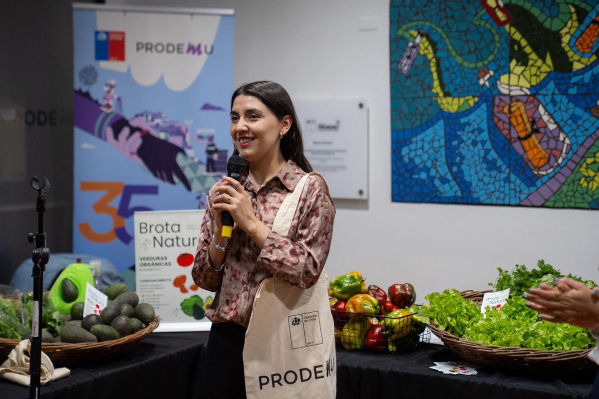 MinMujeryEG's tweet photo. 👩🏻‍🌾 ¡En el Día Mundial del Emprendimiento, visitamos Mercadito @PRODEMU que ofreció decenas de productos hechos por mujeres! Esta iniciativa de comercialización busca visibilizar y apoyar a mujeres dedicadas a la agricultura familiar campesina y elaboración de productos propios. https://t.co/4mOODDQdVi