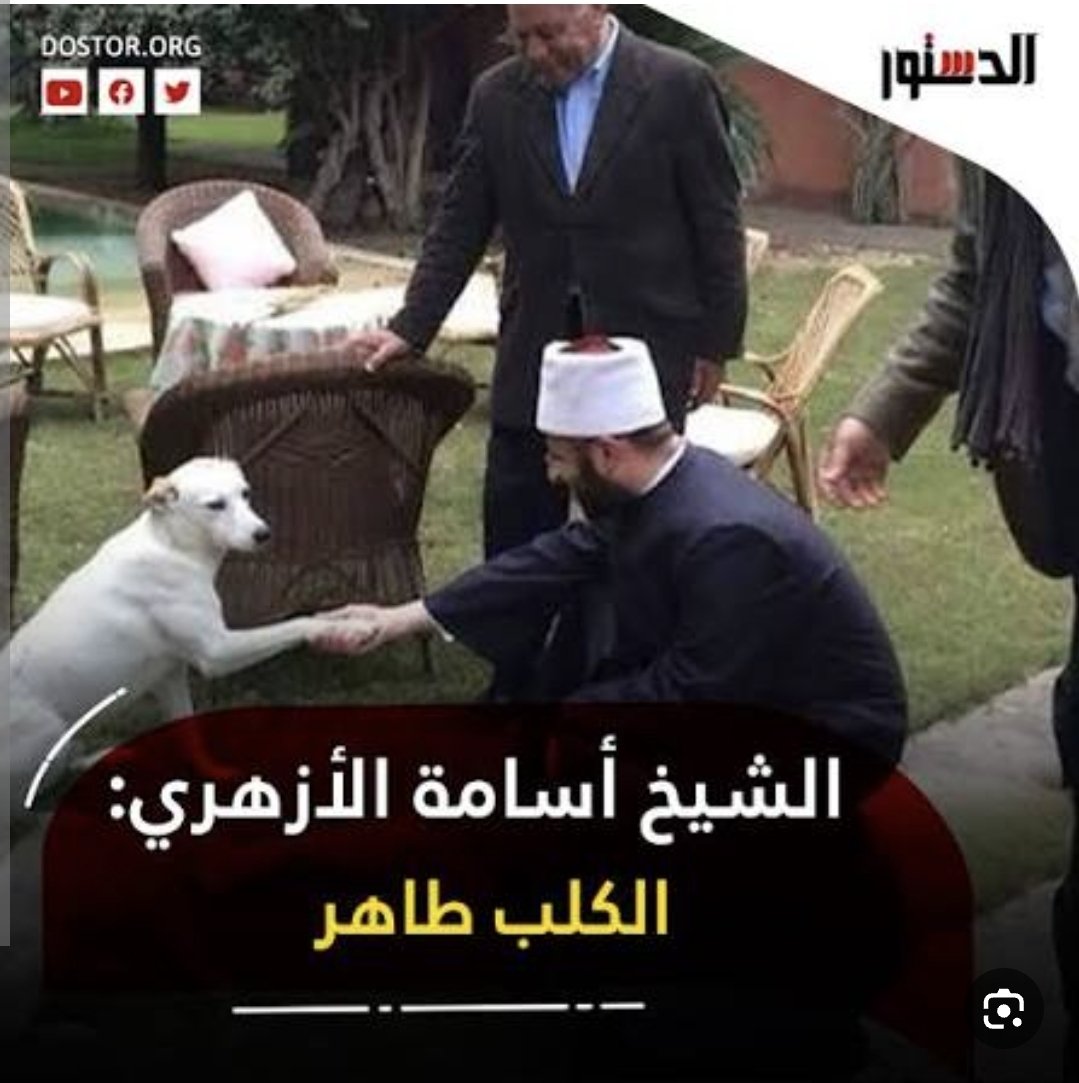 بن حسن tweet media