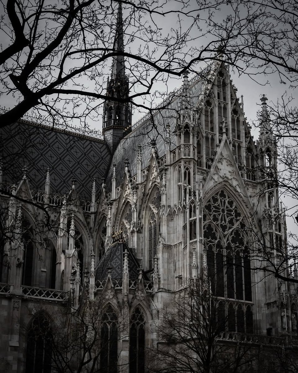 𝖁𝖆𝖒𝖕𝖞𝖗𝖎𝖆 𓋹 tweet media