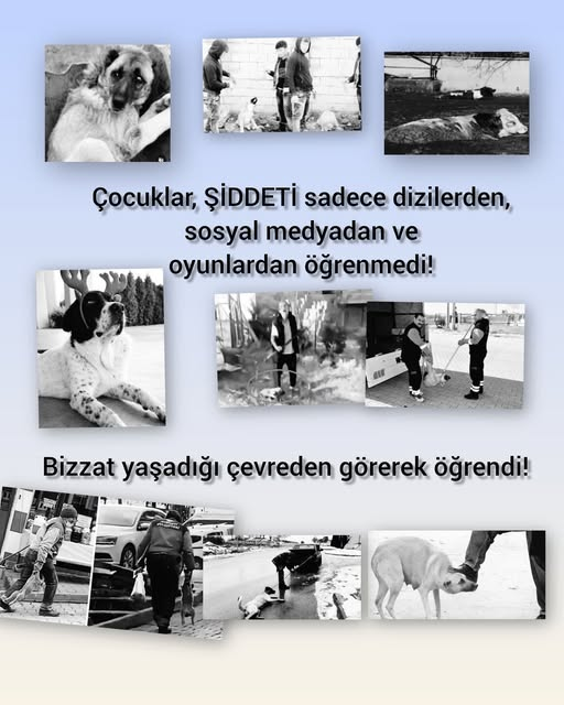 Unutmayın:
Ektiğiniz nefret artık sadece hayvanları öldürmüyor.
Bir canı değersiz gören herkes, bir diğerini yok etmeye sadece bir adım uzaklıktadır. “Biz, çocukları bu hale nasıl getirdik? Ahlâkı, sadece görüntüye indiremez, evrensel değerleri yok sayamazsınız.
#Kahramanmaraş