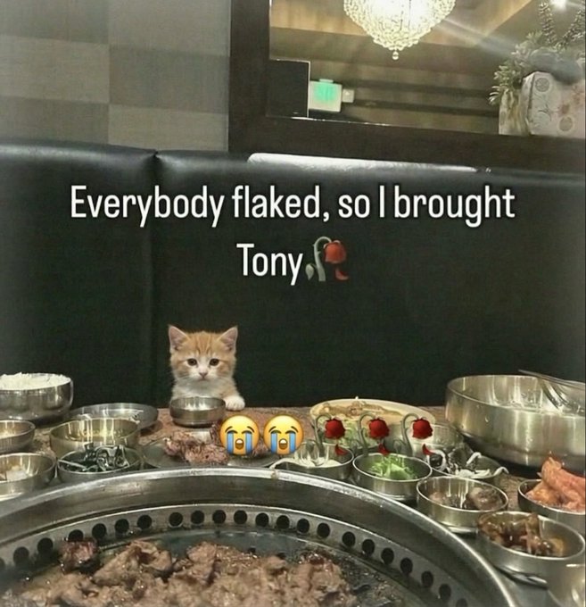 Cutekittycats_'s tweet photo. https://t.co/SRyj34B8Nu