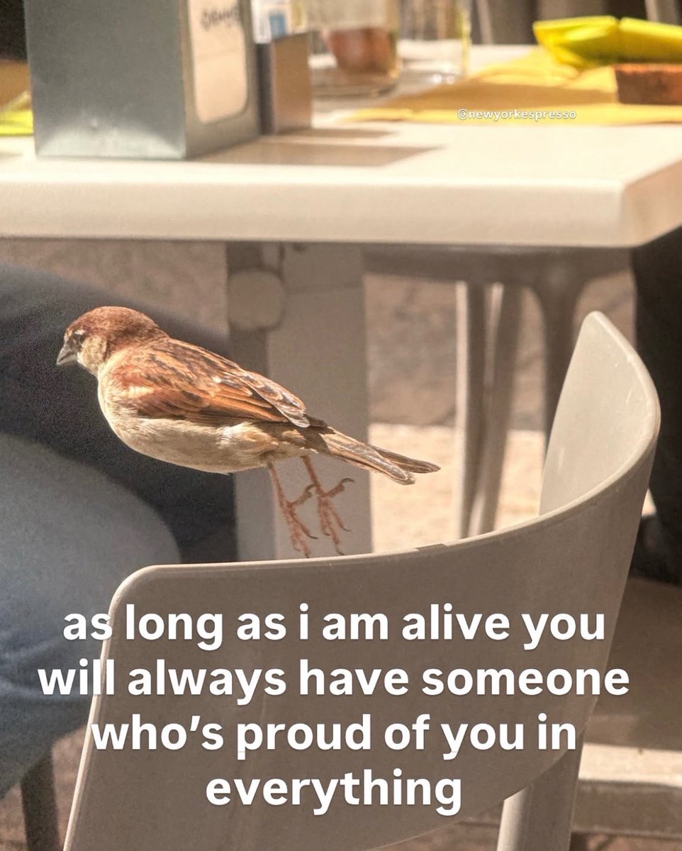 Respectful Memes (@respectfulmemes) on Twitter photo 