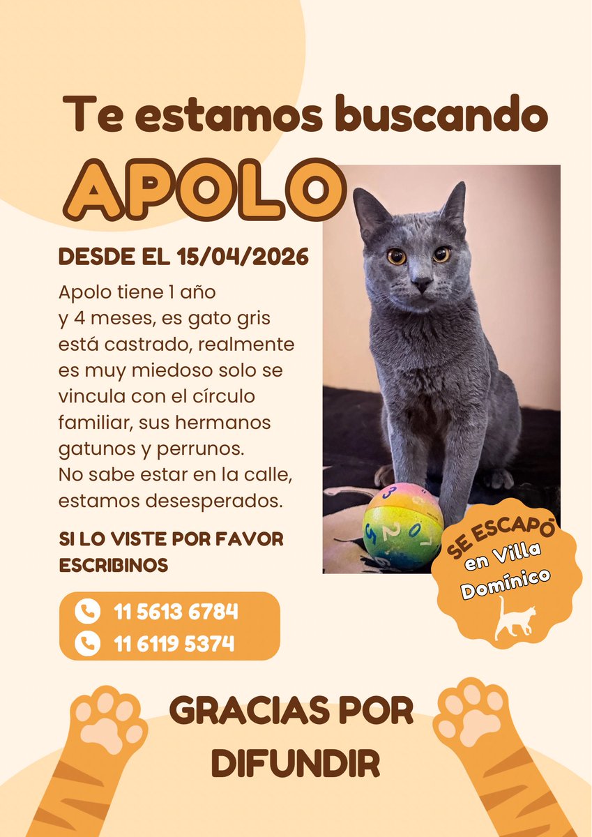 Avellaneda_Real tweet media