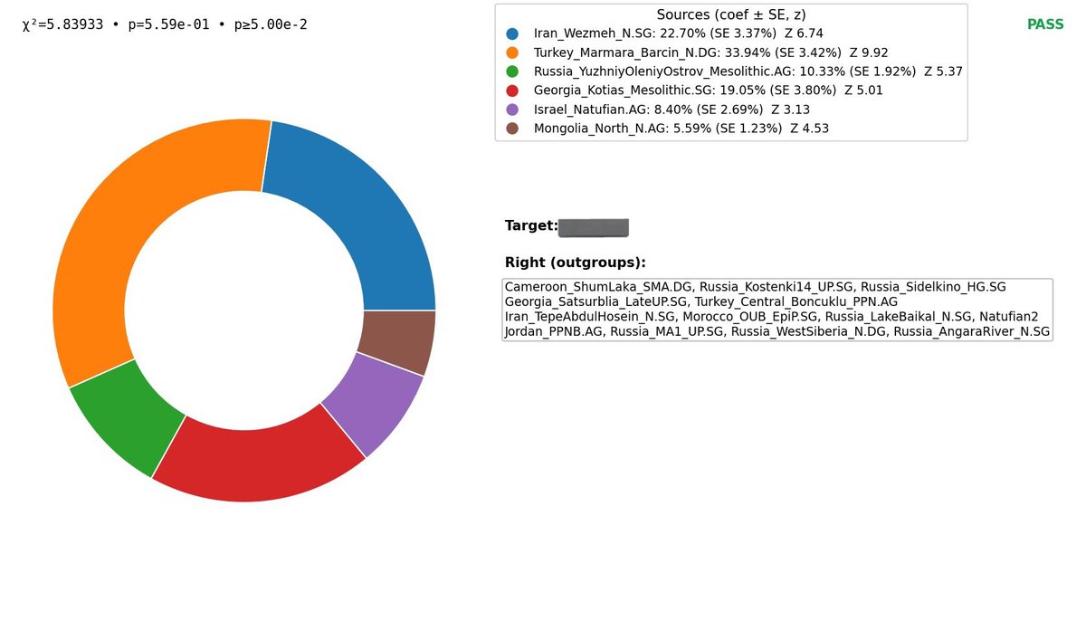 Qizilbash DNA Project tweet media