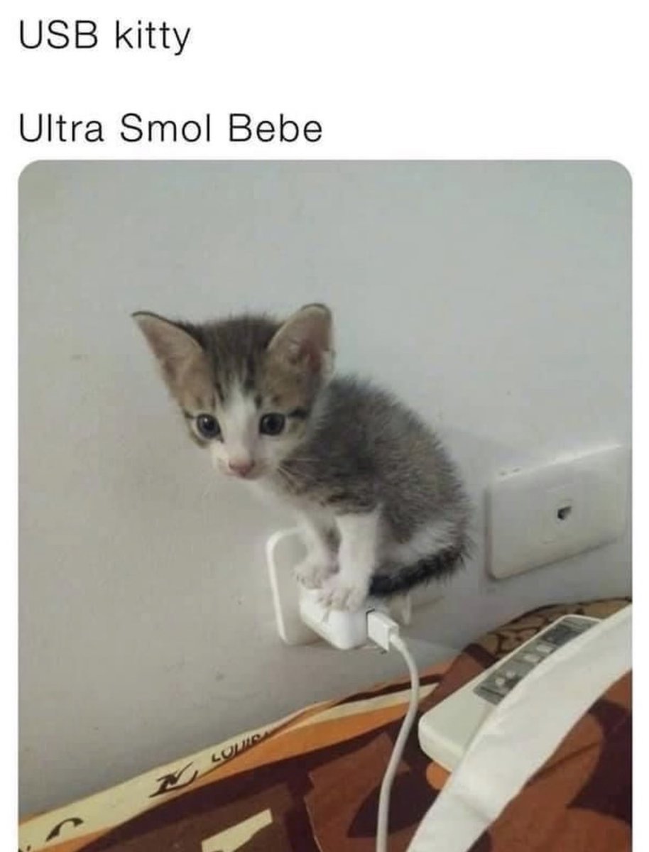 Respectful Memes tweet media