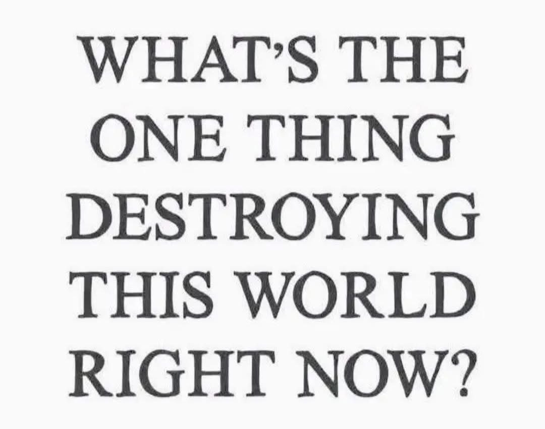 American Citizen 🇺🇸 tweet media