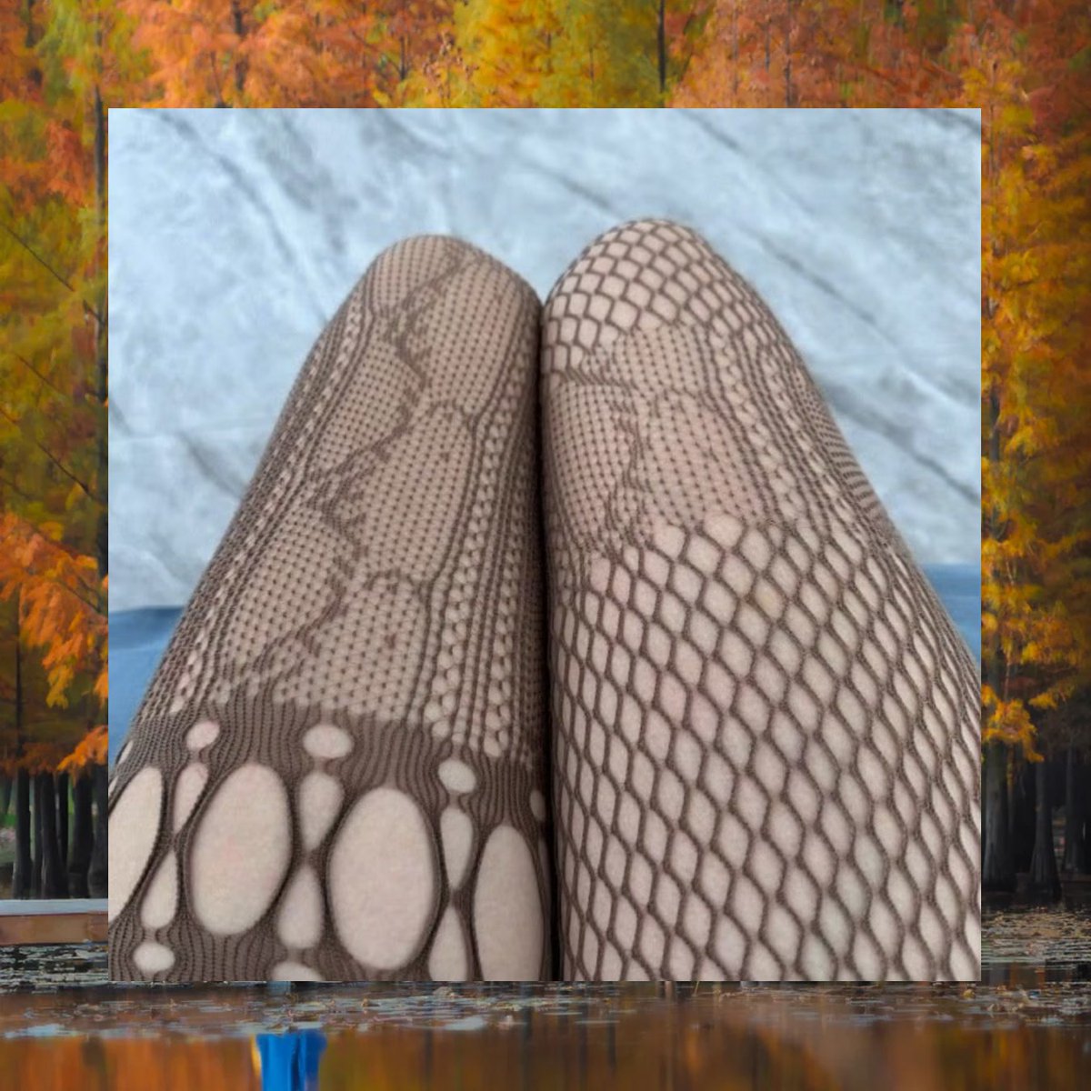 Kelly Berg tweet media