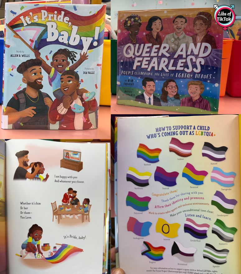 Libs of TikTok tweet media