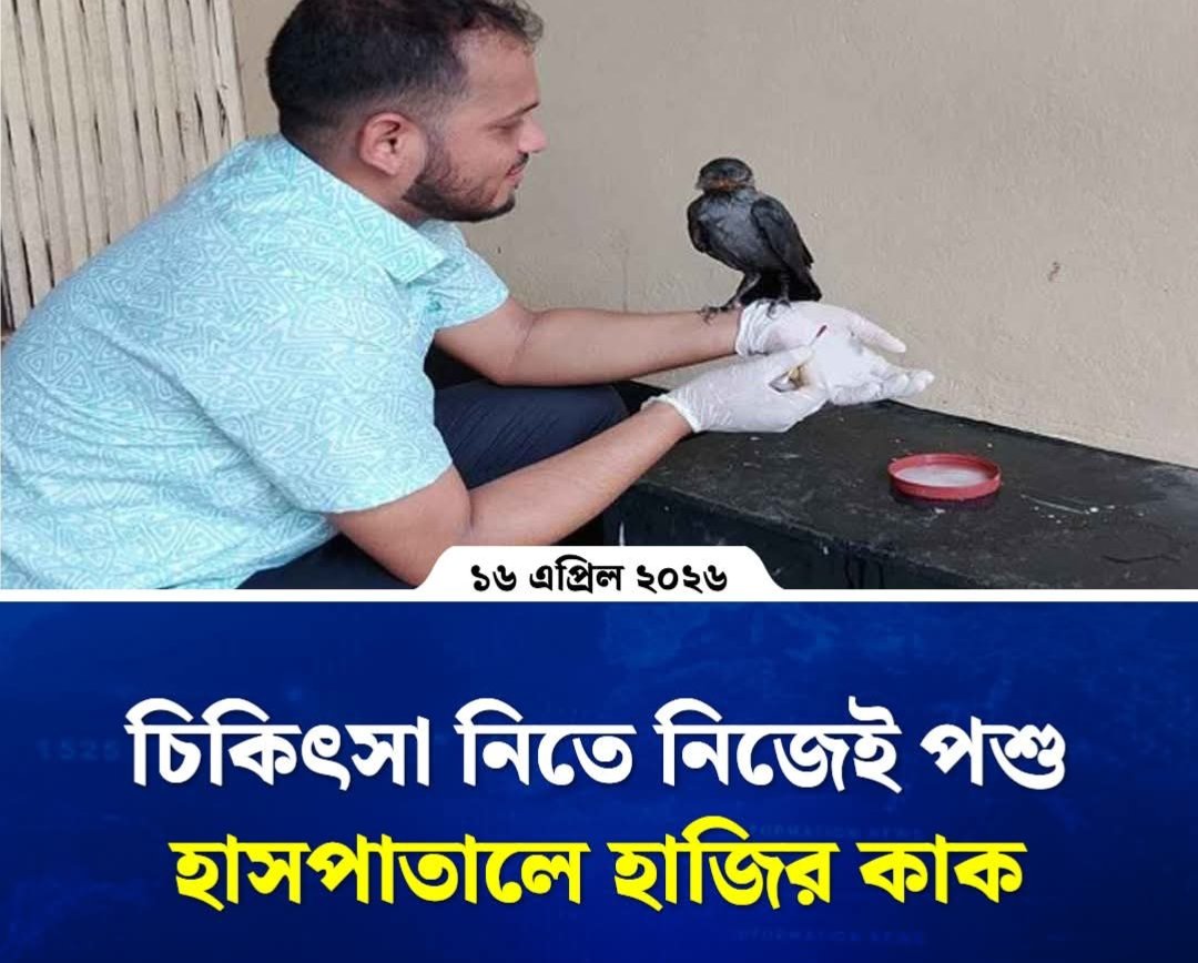 MDGuljarRa97696's tweet image. চিকিৎসা নিতে নিজেই পশু হাসপাতালে...

#Banshkhali #Chattogram #Crow