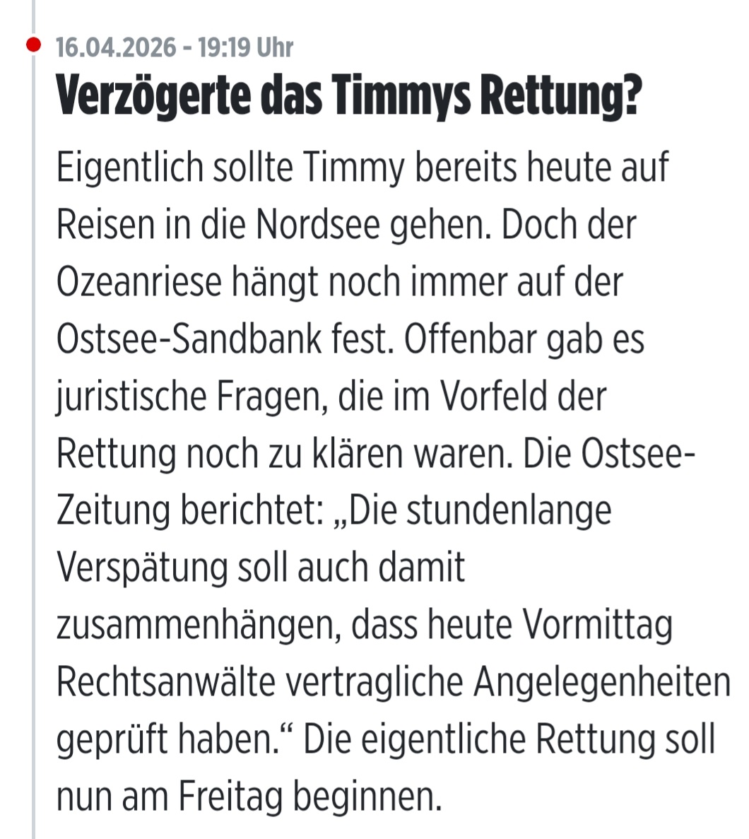 Thyra Maris 🙋🏻‍♀️✍️🕊️📚 tweet media