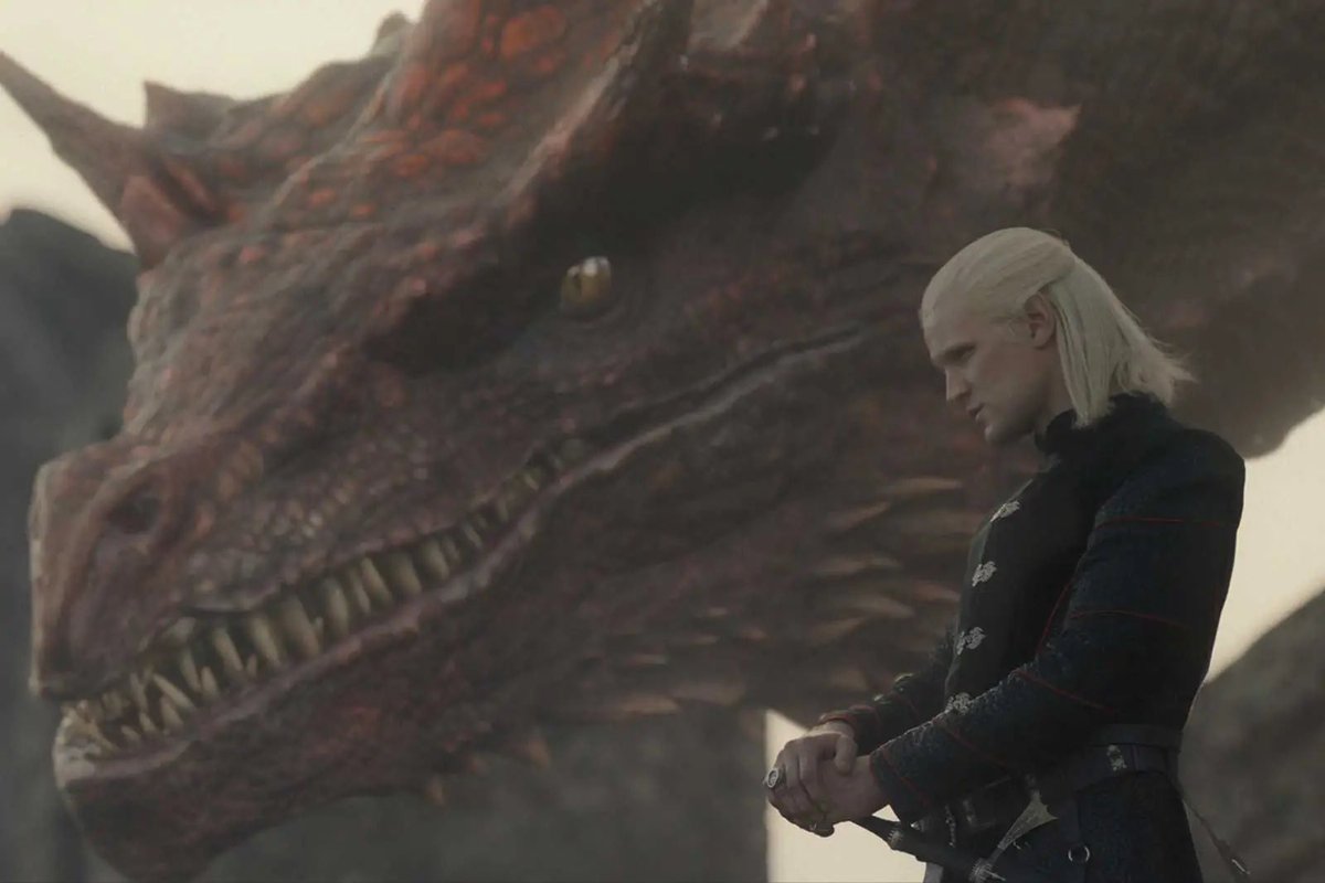 🏛 𝐒𝐭𝐞𝐯𝐞𝐧 🏛 tweet media