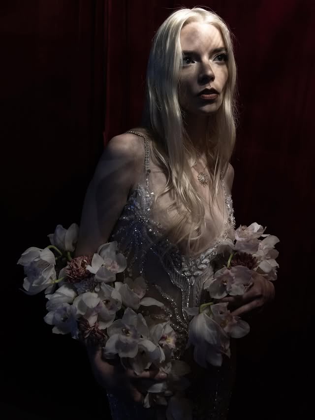 hourly anya taylor-joy tweet media