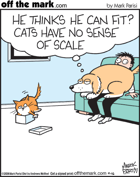 Mark Parisi 🦀 tweet media