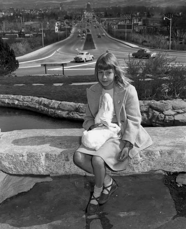 Old Boise tweet media