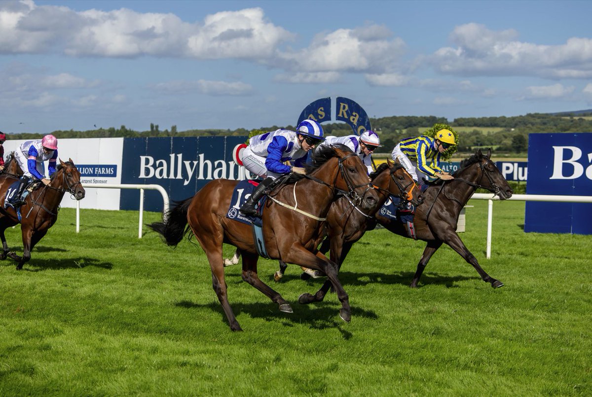 IrishEBF_'s tweet photo. Big Entries and Big Plans! 🐎🔥

The #IrishEBF @BallyhaneStud Stakes Day @NaasRacecourse is shaping up to be a massive event:
🏆209 entries confirmed
💰€200k prize pot
🏉Rugby Sweepstakes is BACK!

Full story & list of entries here: 🔗 https://t.co/8dWs4NvAM2

@JoeFoleyBally