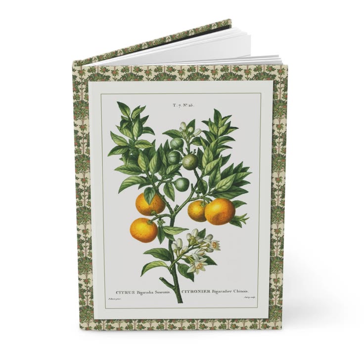 marianaypaula's tweet image. Le Bon Journal 
FLORA 
Citrus Journal — Pancrace Bessa 1801–1819 Traité des Arbres et Arbustes Bitter Orange &amp;amp; Five Citrus Varieties Botanical Engravings 
lebonjournal.com/products/citru… 
#citrus #orange #journal #lebonjournal #notebook #hardcover