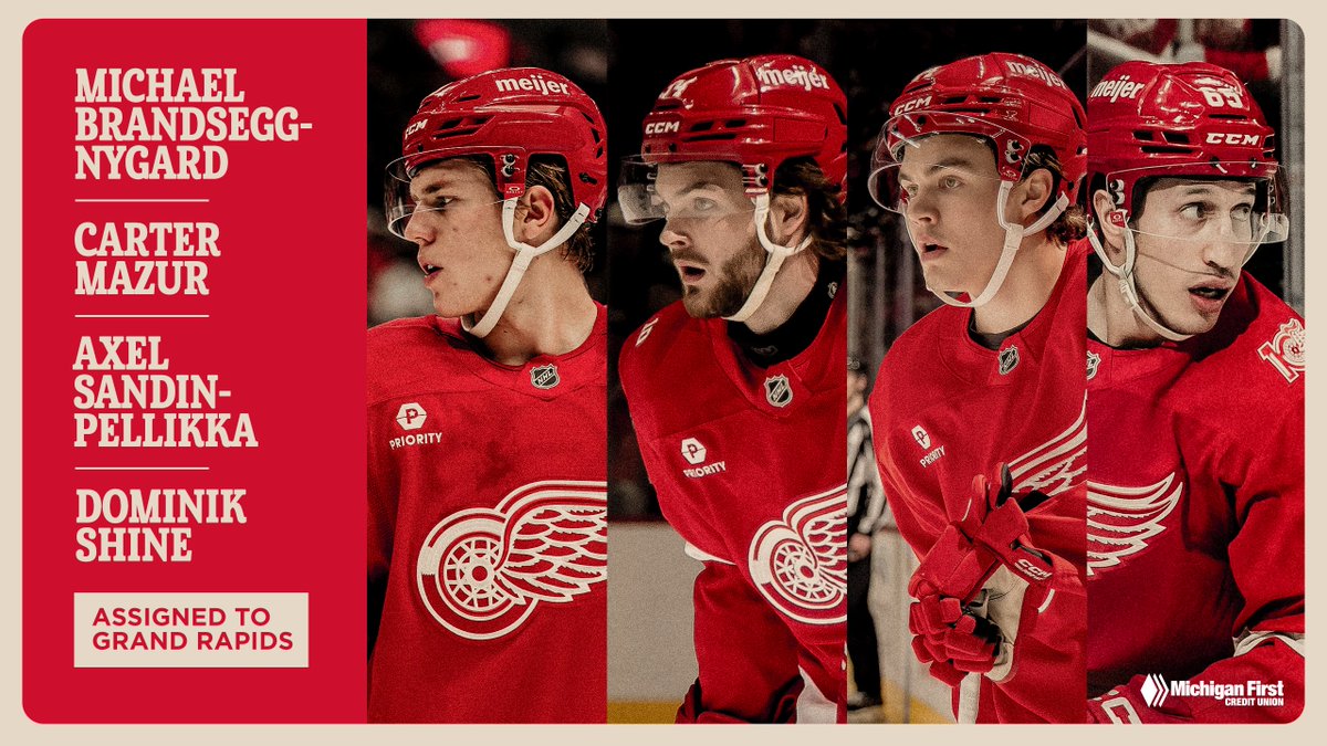 Detroit Red Wings tweet media