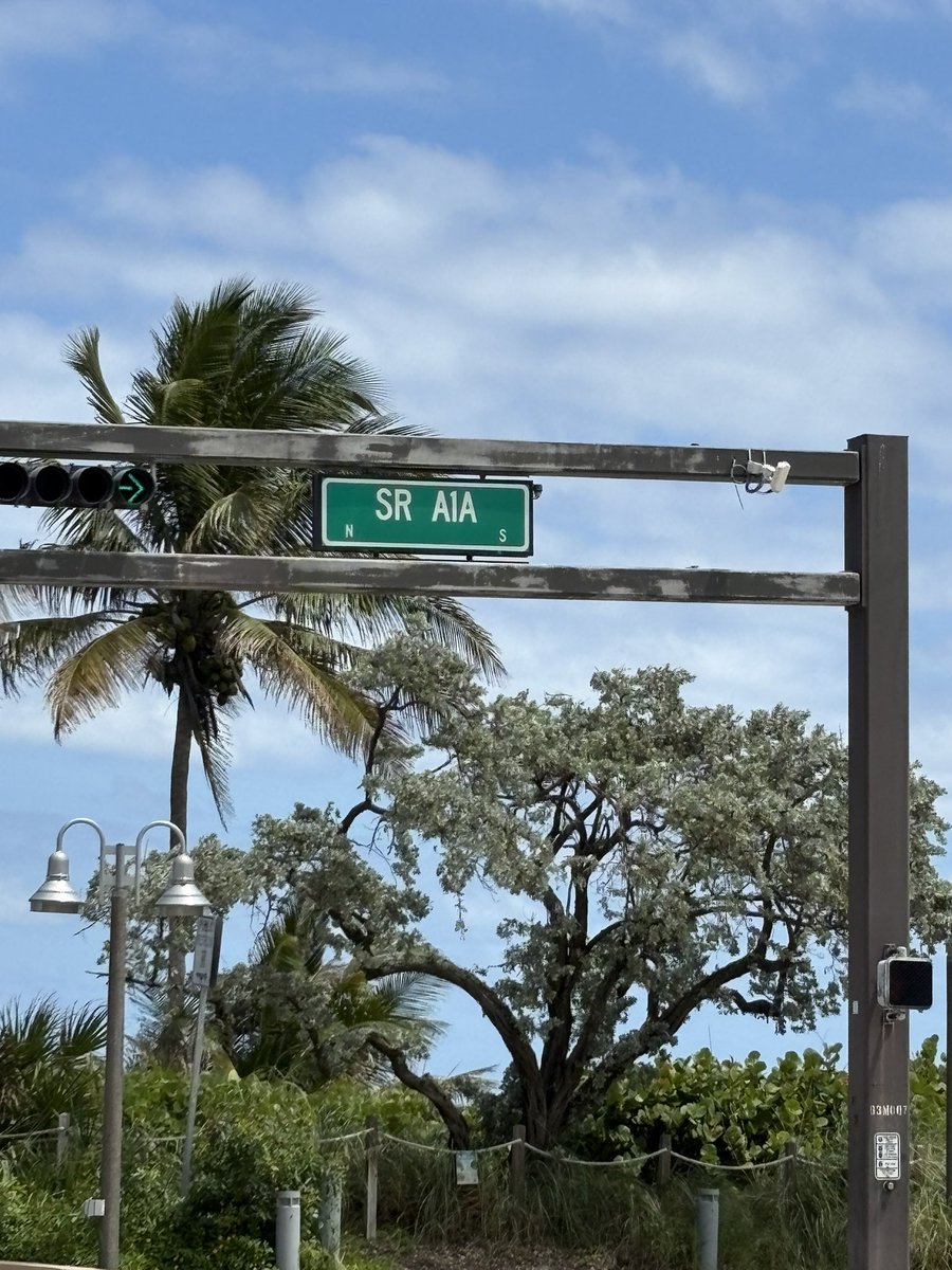 Marcus Schmidt tweet media