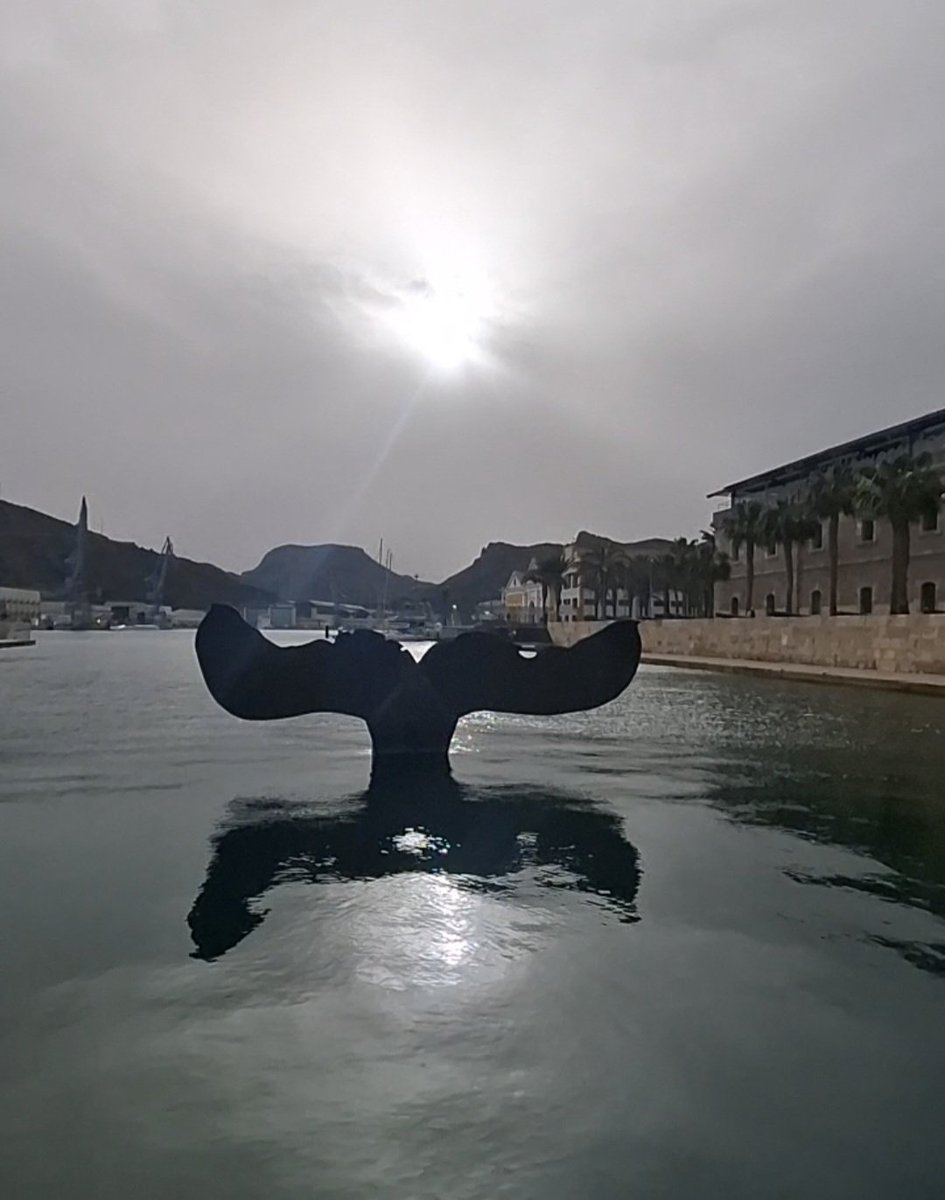 Cartaginense51 tweet media