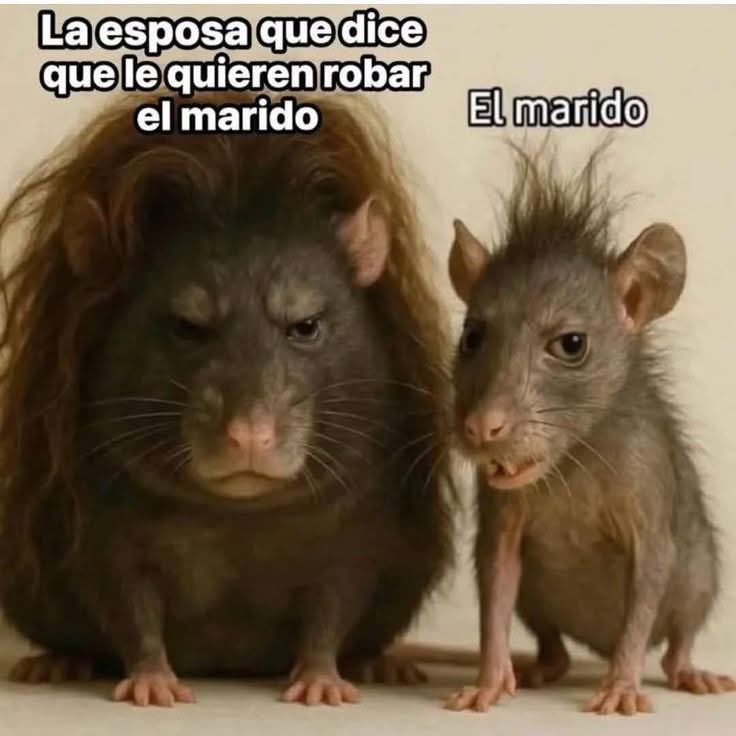 Mentira no es !! 🤦🏻‍♀️🤦🏻‍♀️