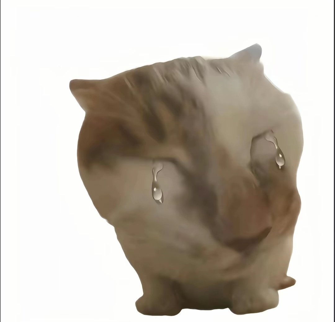 洛应晨曦 tweet media