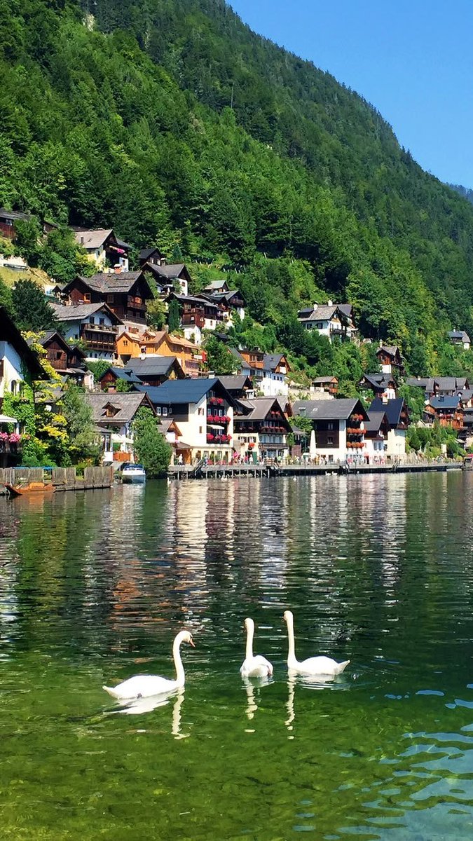 جمال الطبيعة tweet media