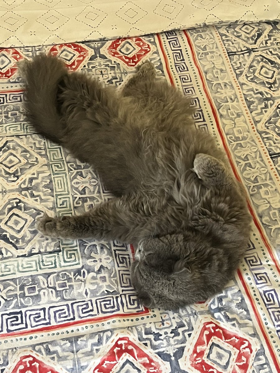 Atomikedim tweet media