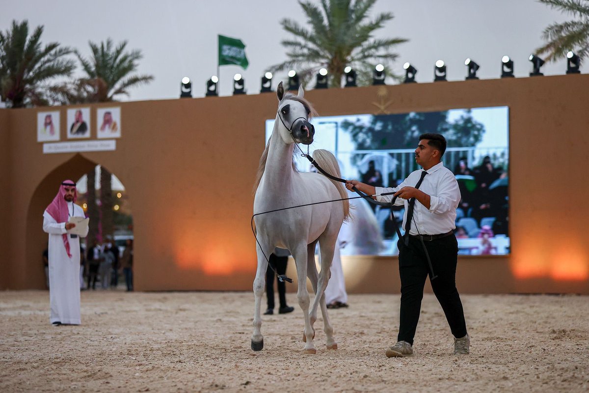 بطولة القصيم لجمال الخيل العربية tweet media