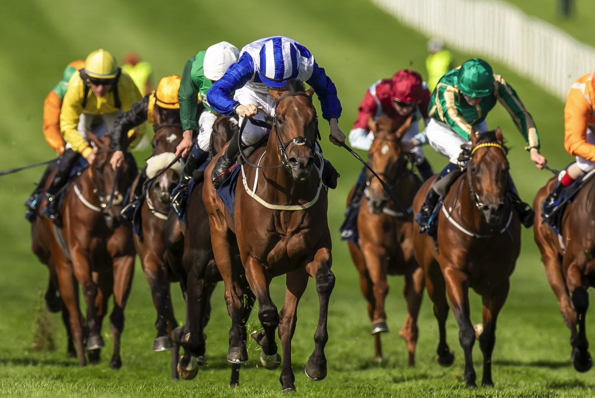 IrishEBF_'s tweet photo. Big Entries and Big Plans! 🐎🔥

The #IrishEBF @BallyhaneStud Stakes Day @NaasRacecourse is shaping up to be a massive event:
🏆209 entries confirmed
💰€200k prize pot
🏉Rugby Sweepstakes is BACK!

Full story & list of entries here: 🔗 https://t.co/8dWs4NvAM2

@JoeFoleyBally