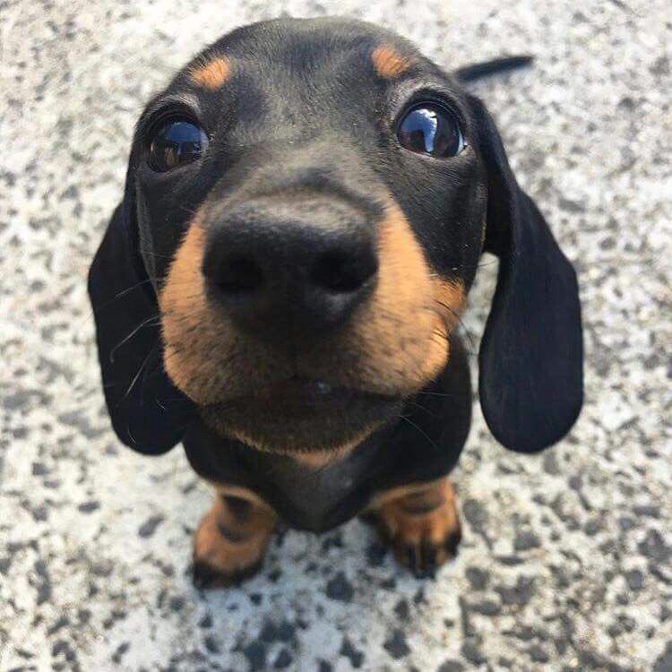 𝑫𝑎𝑛𝑖𝑒𝑙 👻 tweet media