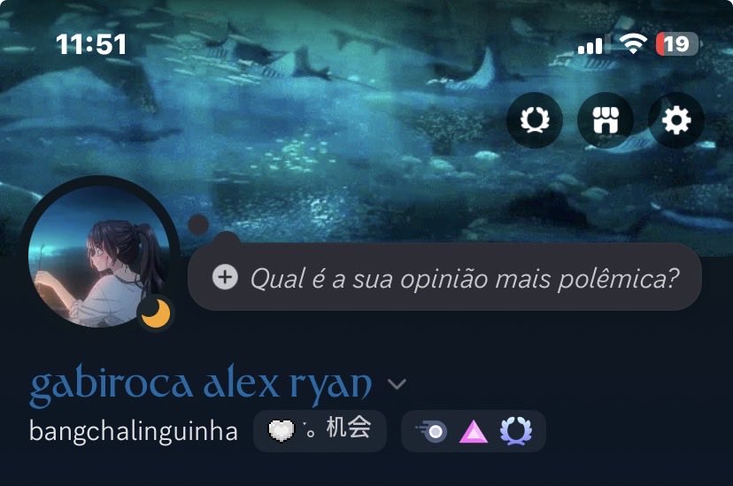 gabiroca bangchan linguinha da silva tweet media