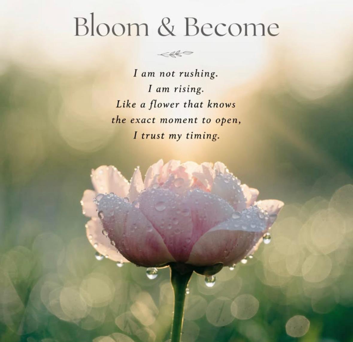 DomesticKenny's tweet image. Trust🌷in your timing,🪻stop rushing, 🌼 and continue to rise 🌸

#trustinyourtiming #NoRush #stoprushing #RiseAbove #riseandshine #trusttheprocess #flowers #bloomingflowers 

💌 leighkenny.com