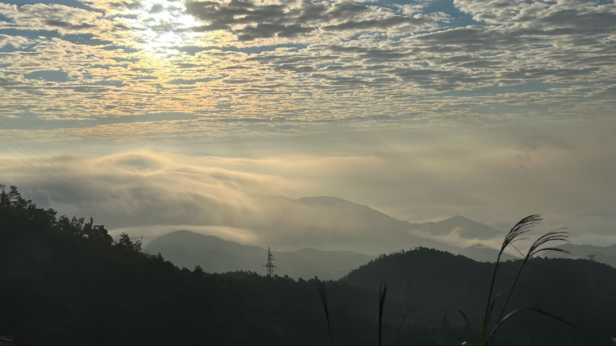 Ben Castle tweet media