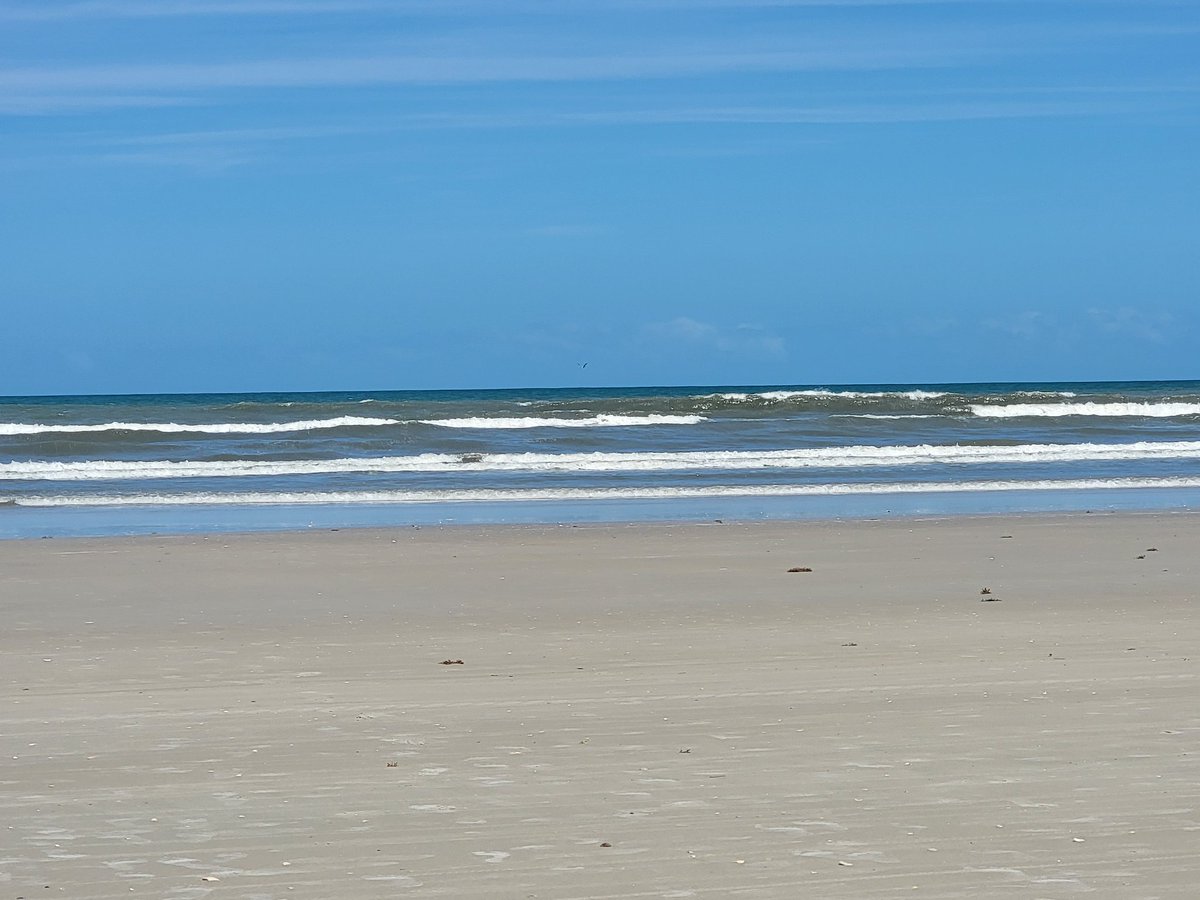 Sassafrass84 tweet media