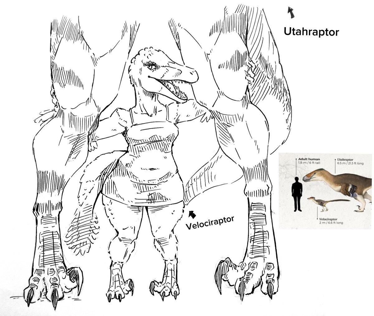 cocodrilo artista 🇻🇪 tweet media