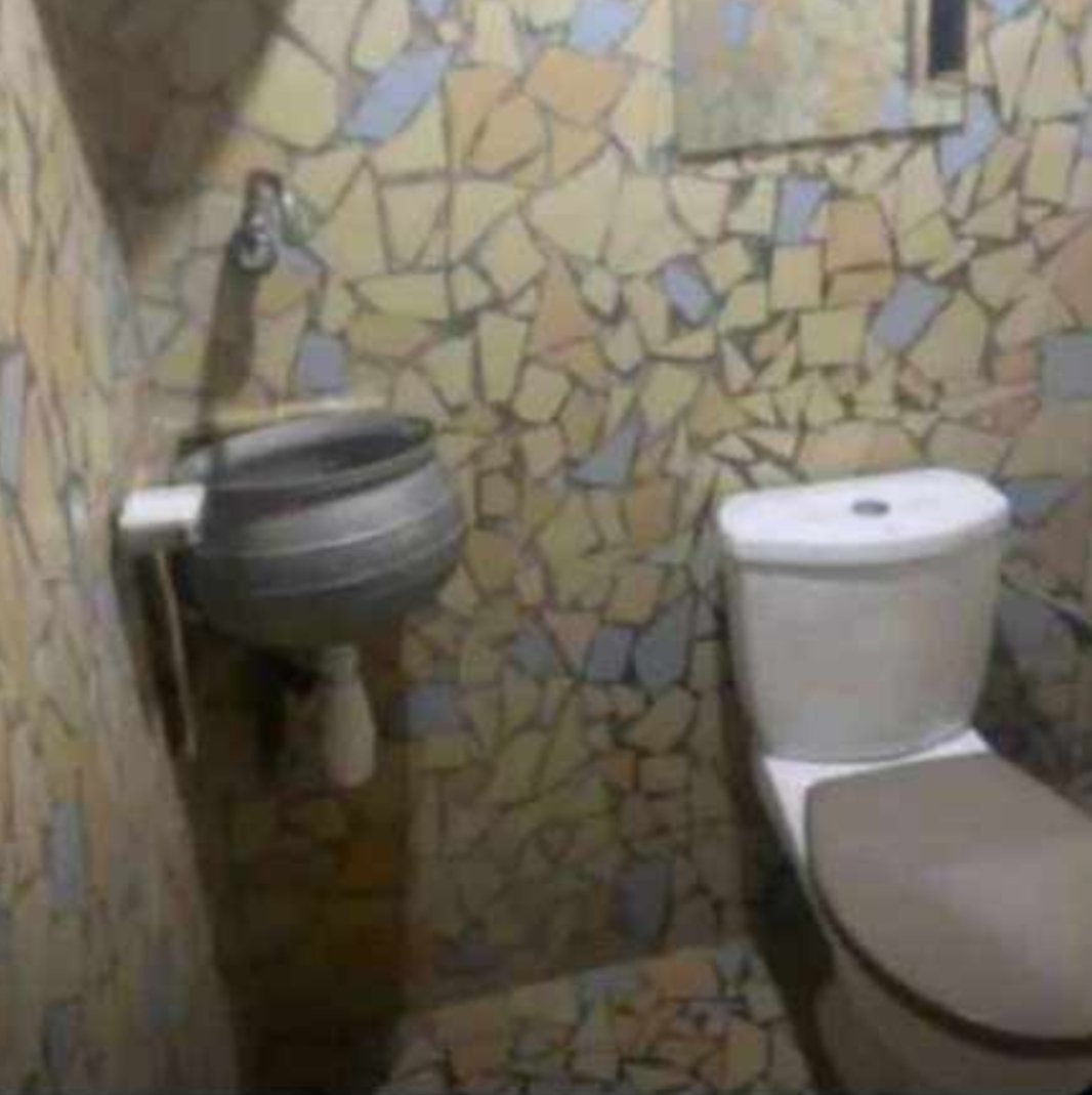 TOIS🌴 tweet media