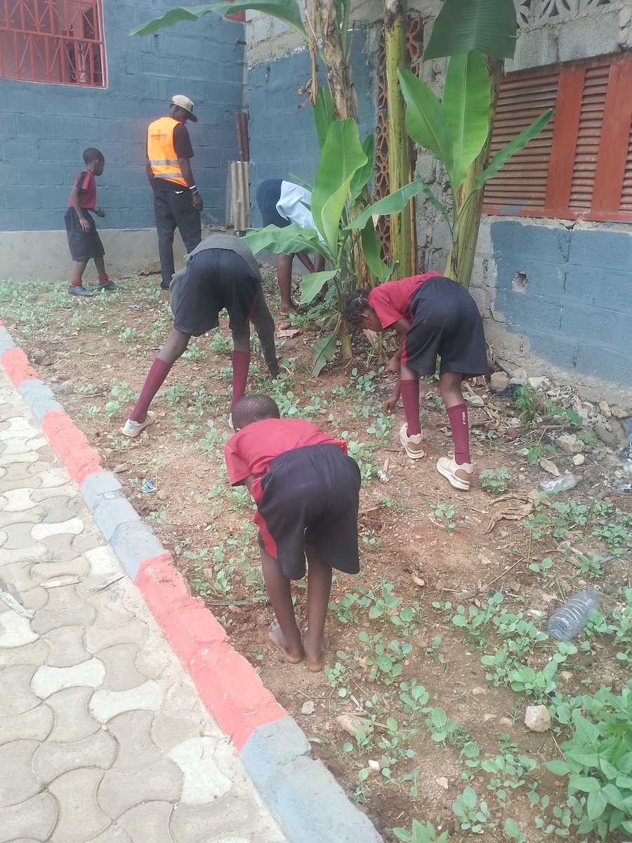 daschools's tweet image. Books teach… but experience transforms! 

Our learners don’t just study, they do, explore, and create.

Nothing beats practical learning!

#LearningByDoing #PracticalSkills #DreamAfricaSchools