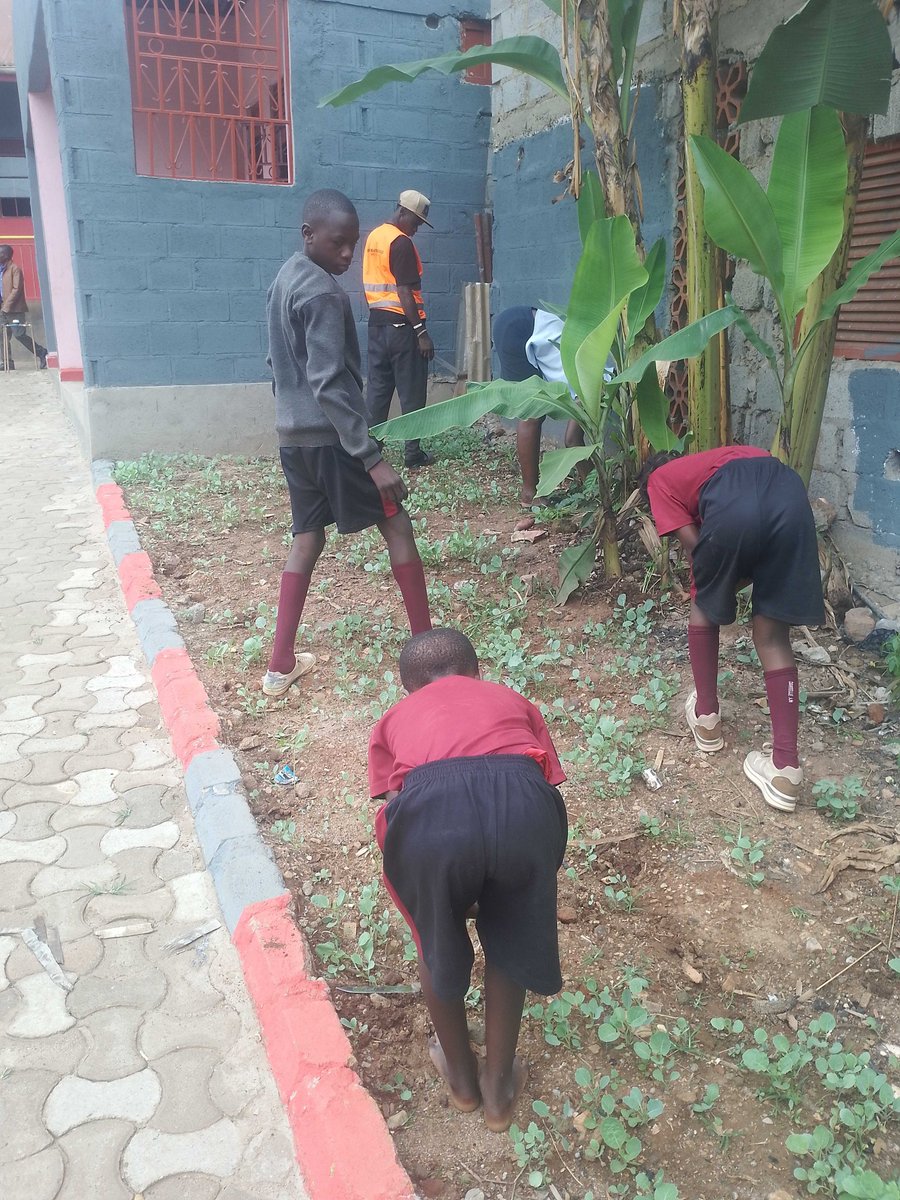 daschools's tweet image. Books teach… but experience transforms! 

Our learners don’t just study, they do, explore, and create.

Nothing beats practical learning!

#LearningByDoing #PracticalSkills #DreamAfricaSchools