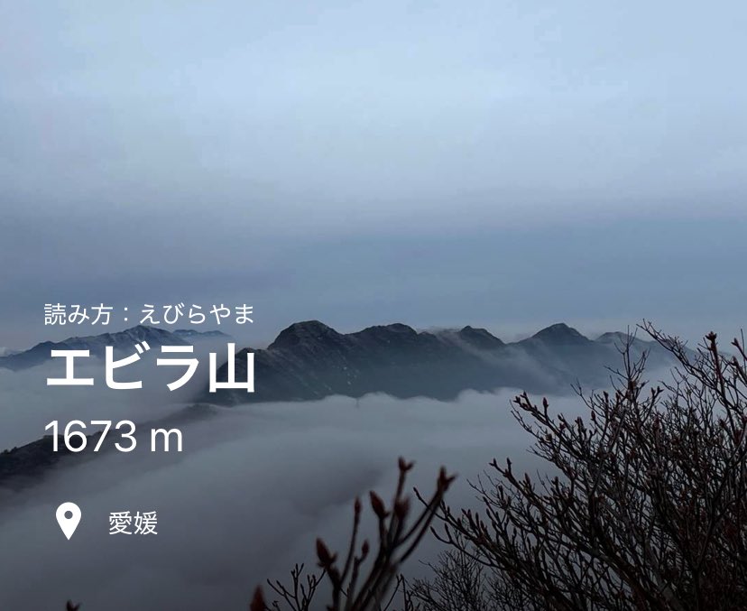 エビラ氏 tweet media