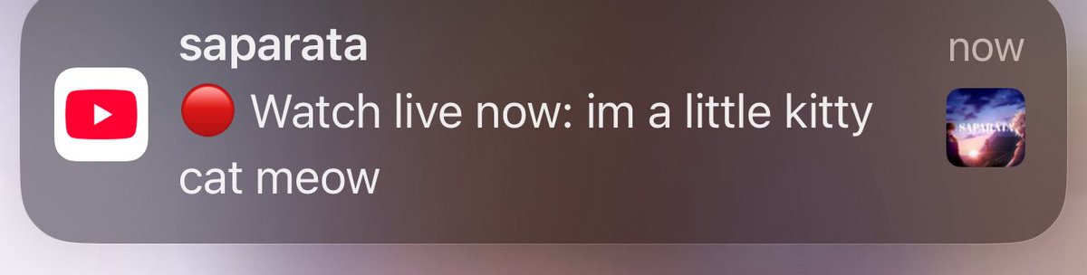 minonoluvs // N1 Xiyue Hua ChBT fan 🎮 tweet media